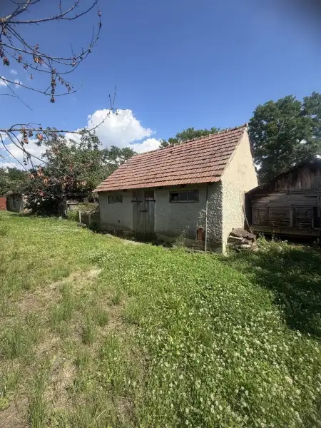 Eladó Családi ház – Vasszilvágy
