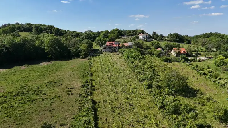 Eladó Családi ház – Pécsely, Szõlõhegy dûlõ