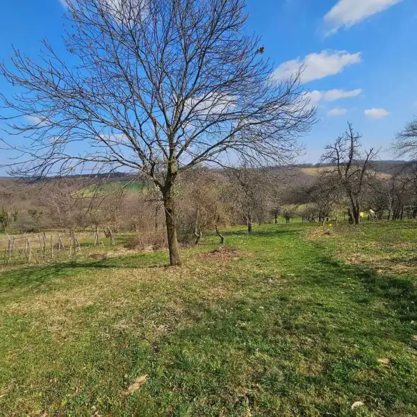 Eladó Családi ház – Zalaegerszeg