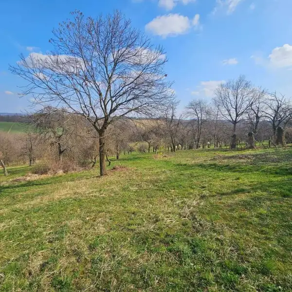 Eladó Családi ház – Zalaegerszeg