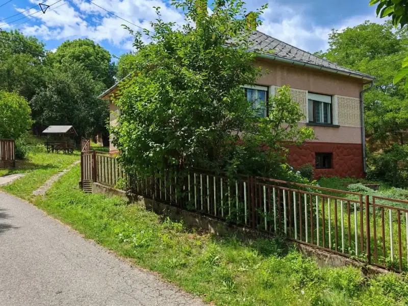 Eladó Családi ház – Viszák
