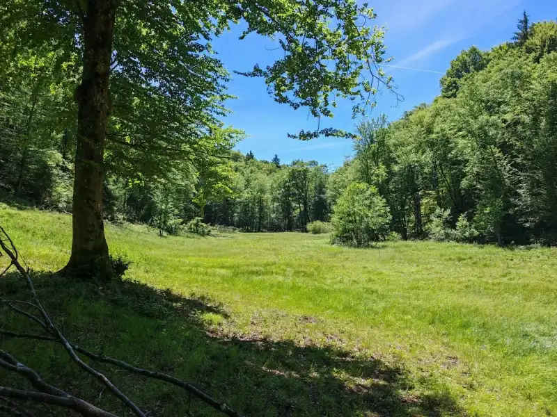 Eladó Mezőgazdasági terület – Felsőszölnök, Külterület