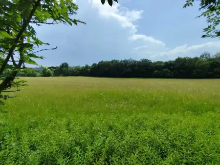 Eladó Építési telek – Kercaszomor, Fő utca